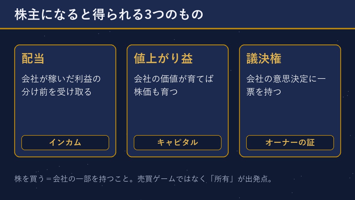 株主になると得られる3つのもの（配当・値上がり益・議決権）